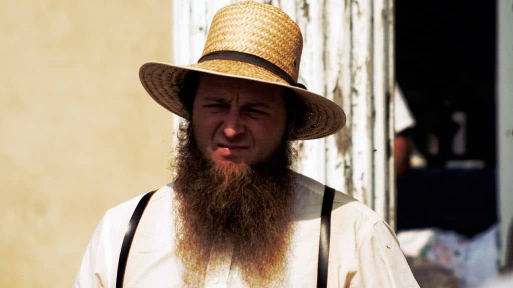 Stile barba Amish